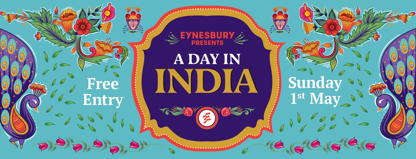 a-day-in-india