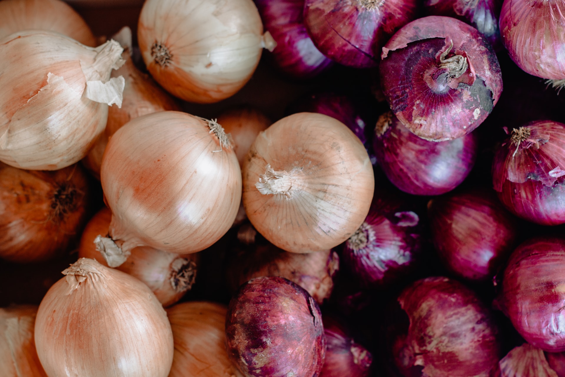 Tearless Onions Go on Sale